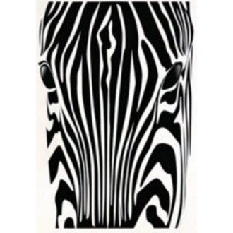 Zebrafej, falmatrica