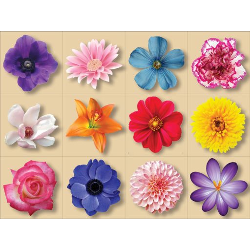Virágok, 12 db-os csempematrica csomag 