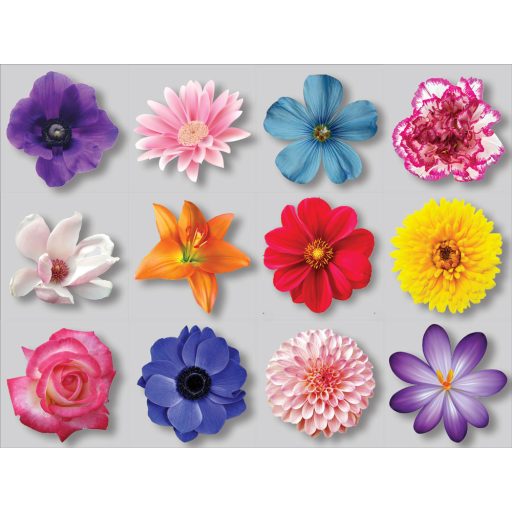 Virágok, 12 db-os csempematrica csomag 