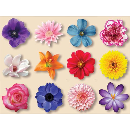 Virágok, 12 db-os csempematrica csomag 