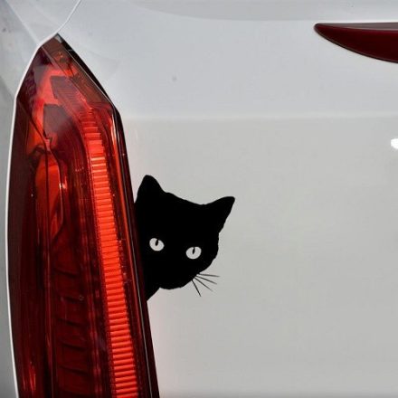 Kukucskáló cica autómatrica