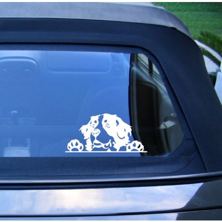 Berni pásztor kutya, autómatrica a Dekoráció Webáruházban