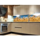 Búzamező, konyhai matrica hátfal, 180 cm