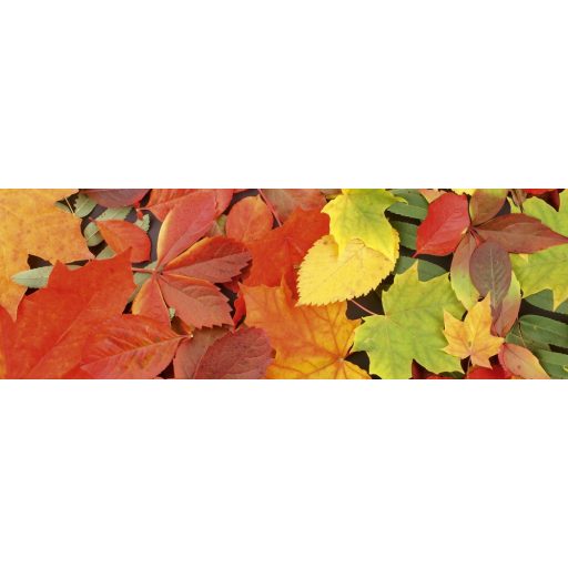 Őszi levelek, konyhai matrica hátfal, 180 cm