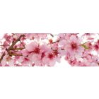 Cseresznyevirágok, konyhai matrica hátfal, 180 cm