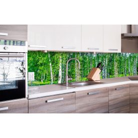 Nyírfaerdő, konyhai matrica hátfal, 260 cm