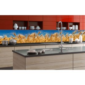 Búzamező, konyhai matrica hátfal, 350 cm