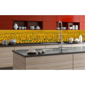 Napraforgómező, konyhai matrica hátfal, 350 cm