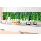 Nyírfaerdő, konyhai matrica hátfal, 350 cm