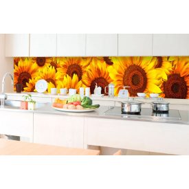 Napraforgó virágok, konyhai matrica hátfal, 350 cm