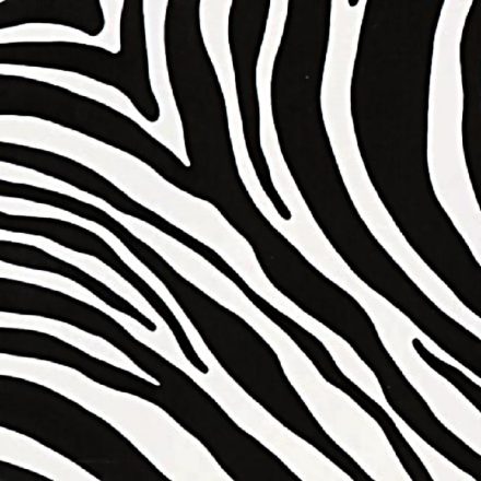 Zebramintás öntapadós tapéta a Dekoráció Webáruházban
