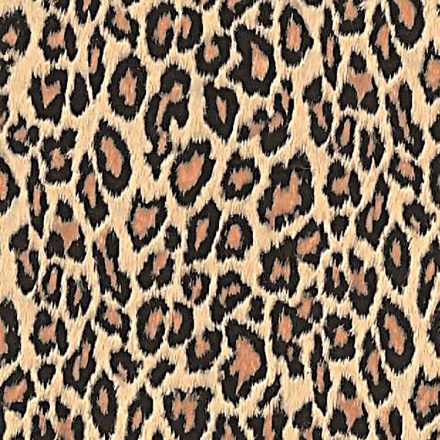 Leopárd mintás öntapadós tapéta a Dekoráció Webáruházban