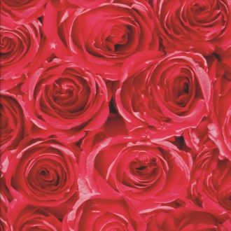 Piros rózsa mintás öntapadós tapéta