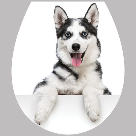 Husky, toalett díszítő matrica