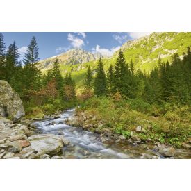   Roztoka patak a Tátra Nemzeti Parkban, poszter tapéta 375*250 cm