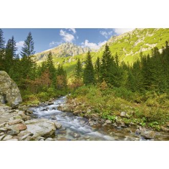   Roztoka patak a Tátra Nemzeti Parkban, poszter tapéta 375*250 cm