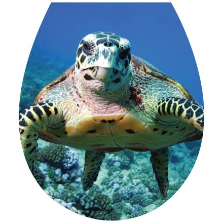 Kíváncsi teknős, toalett díszítő matrica - Dekoráció Webáruház 