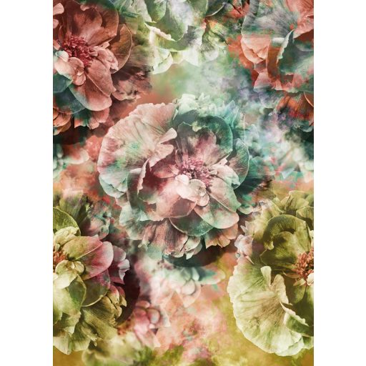 Behang / Colorful tapéta