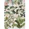 Behang / Floral Utopia tapéta