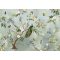 Behang / Floral Utopia tapéta