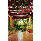 Virágos terasz, poszter tapéta 150*250 cm