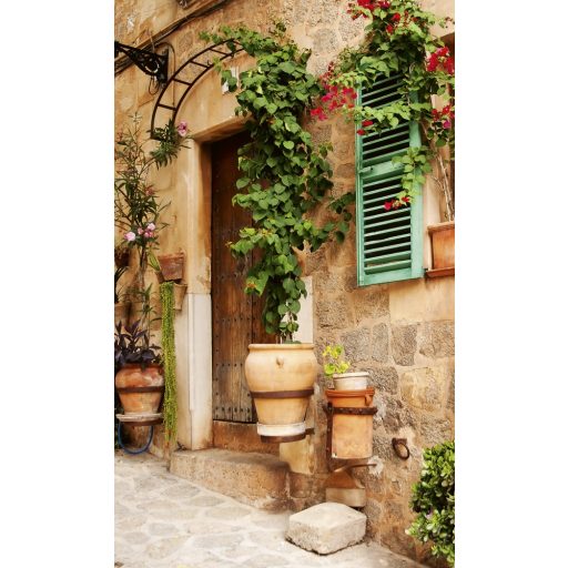 Virágos házfal, poszter tapéta 150*250 cm