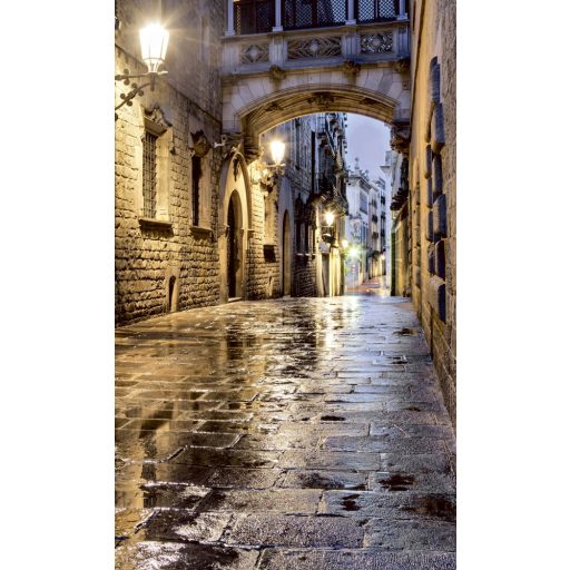 Esős utcakép, poszter tapéta 150*250 cm