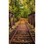 A kisvasút útja, poszter tapéta 150*250 cm