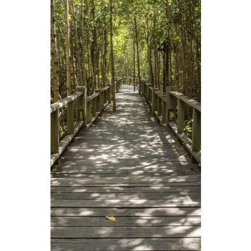 Út az erdőben, poszter tapéta 150*250 cm