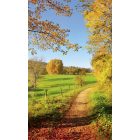 Varázslatos őszi panoráma, poszter tapéta 150*250 cm