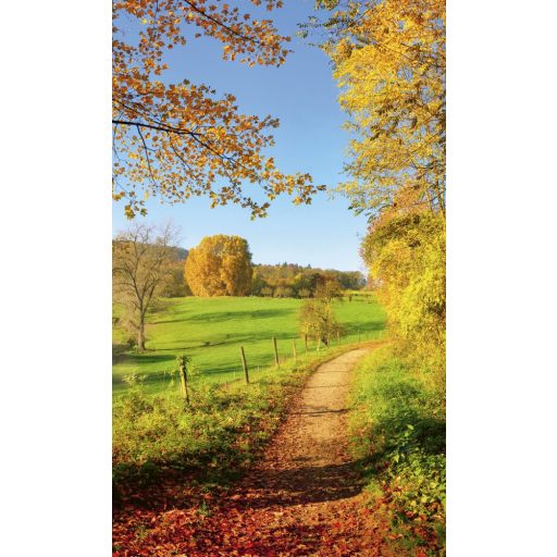 Varázslatos őszi panoráma, poszter tapéta 150*250 cm