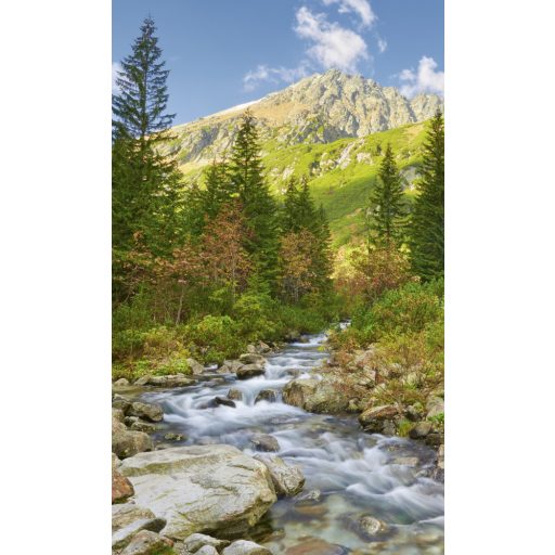Hegyi patak, poszter tapéta 150*250 cm
