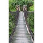 Fahíd az erdőben, poszter tapéta 150*250 cm