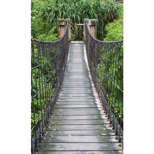 Fahíd az erdőben, poszter tapéta 150*250 cm