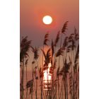 Naplemente, poszter tapéta 150*250 cm