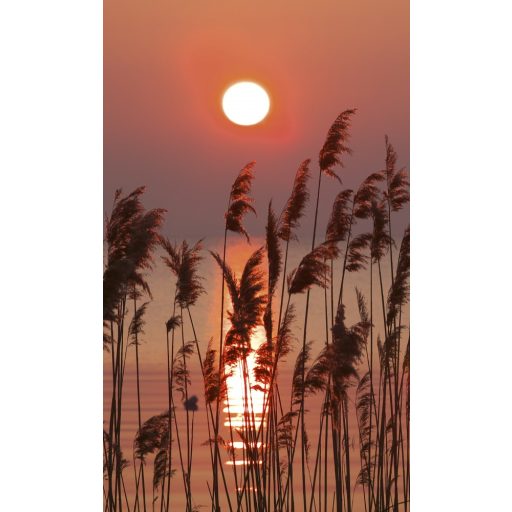 Naplemente, poszter tapéta 150*250 cm