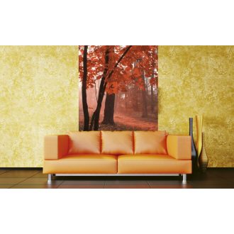 Napsütötte erdő, poszter tapéta 150*250 cm