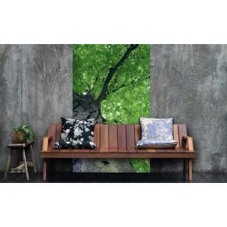 Falomb, poszter tapéta 150*250 cm