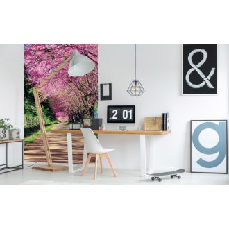 Séta a fák alatt, poszter tapéta 150*250 cm