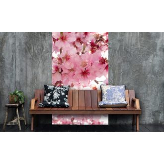 Cseresznyefa, poszter tapéta 150*250 cm