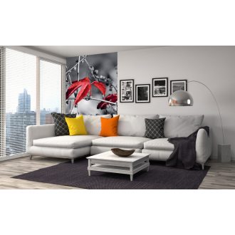   Őszi falevelek fekete fehér háttér előtt, poszter tapéta 150*250 cm