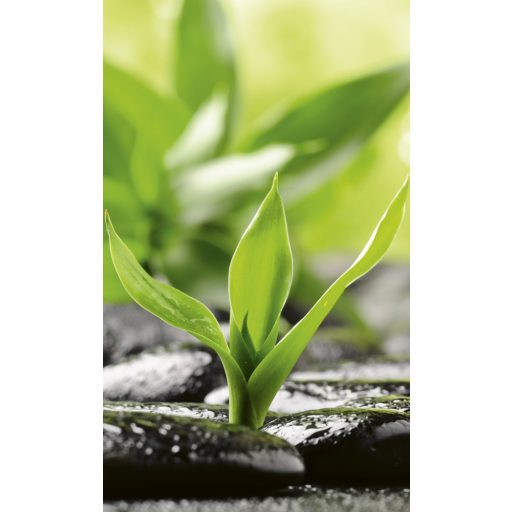 Lávakövek, poszter tapéta 150*250 cm