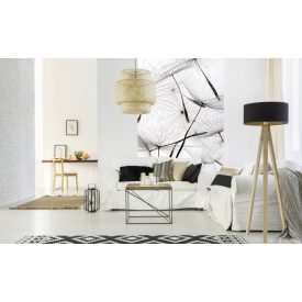 Szálló pitypang, poszter tapéta 150*250 cm