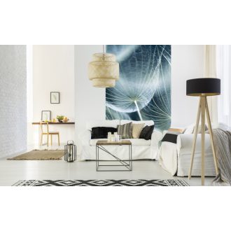 Közeli pitypang, poszter tapéta 150*250 cm