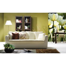 Fehér tulipánok, poszter tapéta 150*250 cm