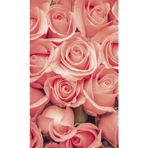 Rózsafejek, poszter tapéta 150*250 cm