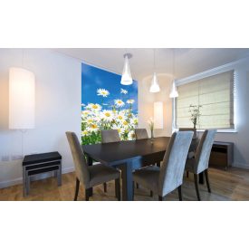 Napsütötte virágos rét, poszter tapéta 150*250 cm