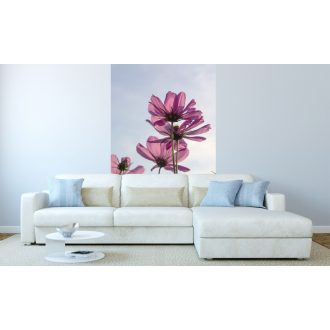 Virágok a réten, poszter tapéta 150*250 cm