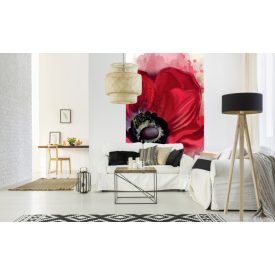 Piros pipacs belülről, poszter tapéta 150*250 cm