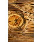 Fa erezete, poszter tapéta 150*250 cm